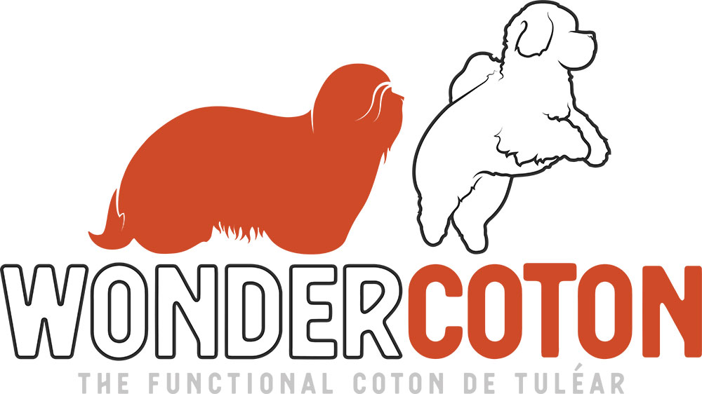 WonderCoton-Orange-WHITEFILL